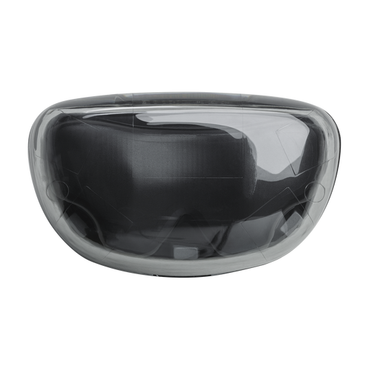 JBL Tune Flex Ghost Edition - Ghost Black - True wireless Noise Cancelling earbuds - Top